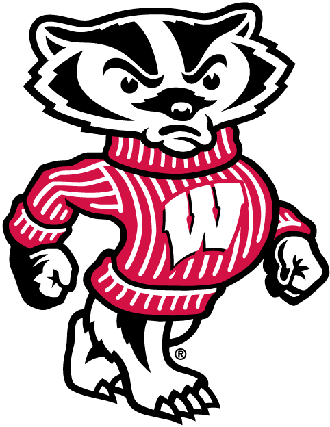 Wisconsin Badgers 2002-Pres Mascot Logo v2 diy DTF decal sticker...